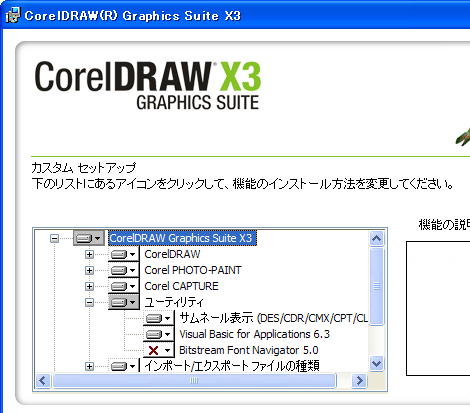 カスタムセットアップのオプション